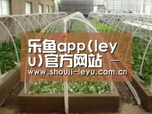 环境展示五