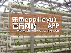 环境展示六