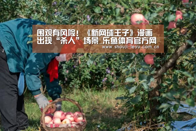 中国站入口
