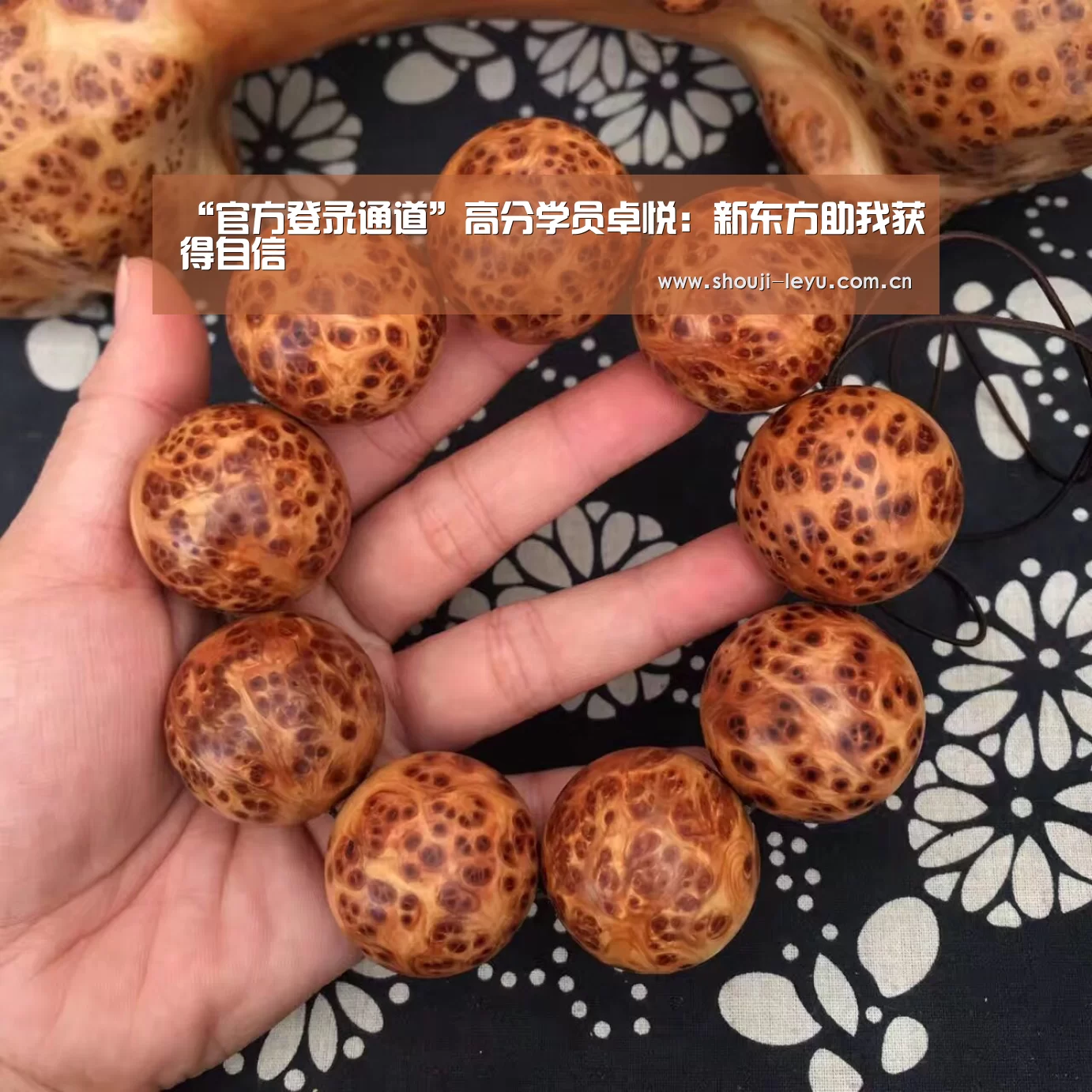 “官方登录通道”高分学员卓悦:新东方助我获得自信(图2) 官方登录通道