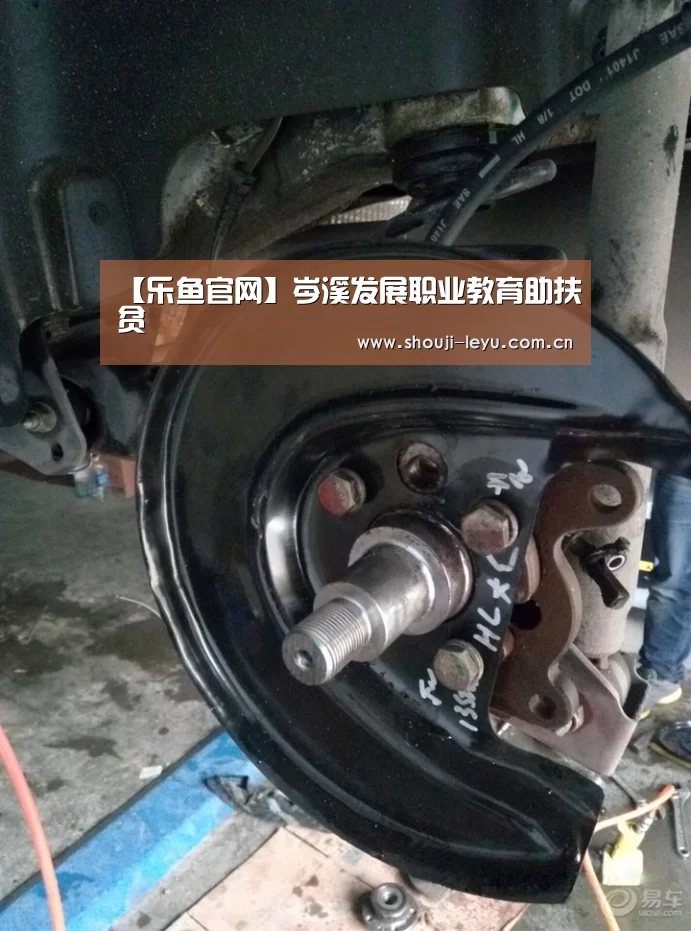 乐鱼体育官方网站入口