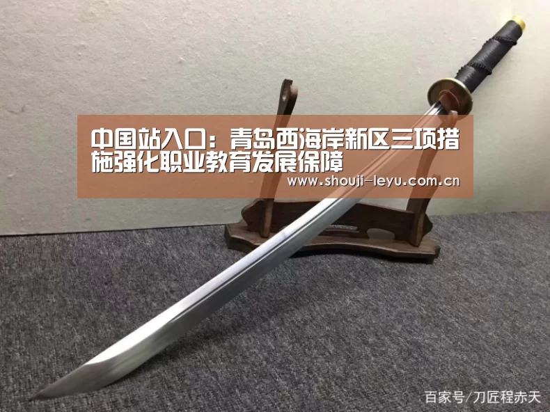 中国站入口